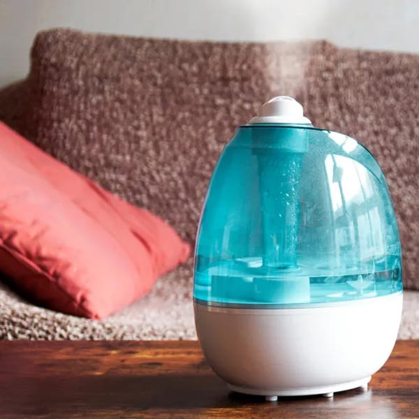Air Humidifier for Valentine's Gift for Her in Nepal