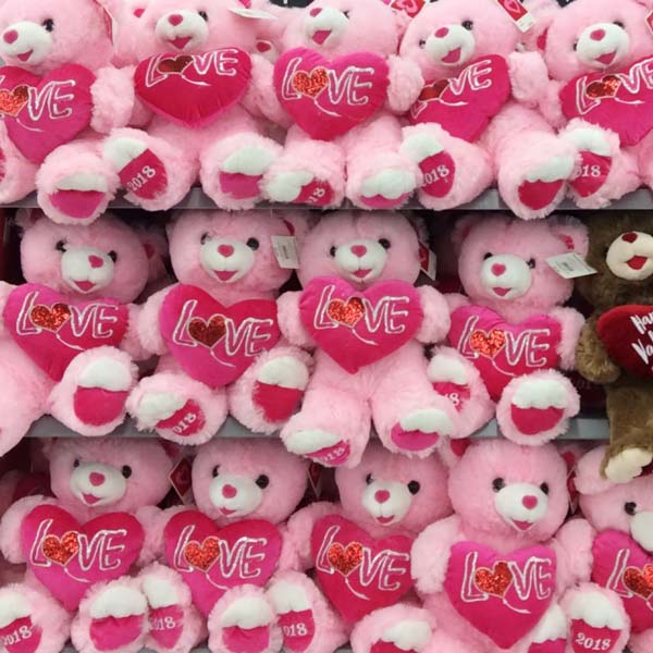 Teddy Bear for Valentine's Day for Her in Nepal