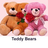 Teddy Bear Gifts to Nepal